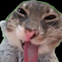 House of Masti 🦕 Discord Server Banner