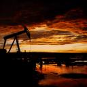 Poon's Server Discord Server Banner