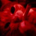 Sapphic City Discord Server Banner