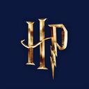 Wizarding World Of Harry Potter Discord Server Banner