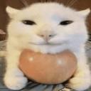 JapuszkoZone Discord Server Banner