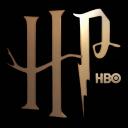 Harry Potter on HBO Discord Server Banner