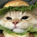 The chill haven Discord Server Banner