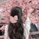 ˏˋ°•*⁀➷ Blossom Bound ⋆ ˚｡⋆୨୧˚ Discord Server Banner