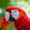 House of Zyn Discord Server Banner