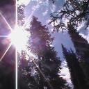 ♡ Garden 🌸 Discord Server Banner