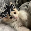 items Discord Server Banner