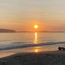 Raw Primal Community 🥩 Discord Server Banner