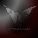 「🤖」Piwnica Angela Discord Server Banner