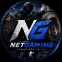 NetGaming Discord Server Banner