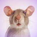 The Rat Club Discord Server Banner