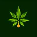 🍃Zelená vlna 🍃╏CZ/SK Discord Server Banner