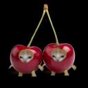 cherries Discord Server Banner