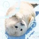 ⋆˚࿔ 🧊 /ᥴhillee ! ( >⩊< )  ꕀ . Discord Server Banner