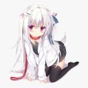 Puppy harem Discord Server Banner