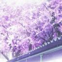 𝑀𝓇. 𝒯erry’s 𝒫layhouse Discord Server Banner