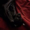 Sinners Discord Server Banner