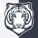 Space Cat's Gaming Ship Discord Server Banner