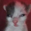 Deranged Folks [No Rules] Discord Server Banner