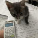 Michi Academy Discord Server Banner