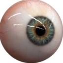 JANGELAND Discord Server Banner