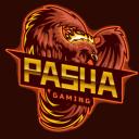 「Pasha Gaming」 Discord Server Banner