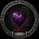 𝗩𝗲𝗹𝘃𝗲𝘁 𝗦𝗵𝗮𝗱𝗼𝘄𝘀🖤 Discord Server Banner