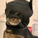 Cantinho do Dojo Discord Server Banner