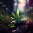 Puff Puff Pass Discord Server Banner