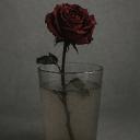 Postmortem Dust Discord Server Banner