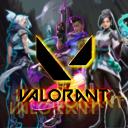 Valorant Team Discord Server Banner