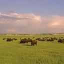 Open prairies Discord Server Banner