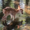 The Cozy Nook Discord Server Banner