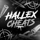 Hallexwq Cheats #1K Discord Server Banner