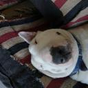 Zac industry LATAM Discord Server Banner