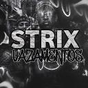 Strix Vazamentos Discord Server Banner