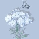 ꒰ 🚀 ﹕ 𝑇ℎ𝑒 𝐴𝑔𝑒𝑛𝑑𝑎   ۫ ✦ Discord Server Banner