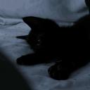 /Silent Discord Server Banner