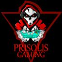 Prisolis Gaming Discord Server Banner