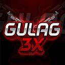 Gulag 3x Discord Server Banner
