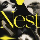 Nest Discord Server Banner