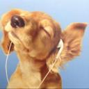 talking tunes and stuff Discord Server Banner