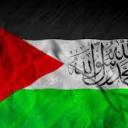 PXU | PalestinePP Discord Server Banner