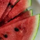 The Watermelon Community Discord Server Banner