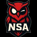 Never Sleep Again (NSA) Discord Server Banner