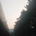 Poetry are alive Discord Server Banner