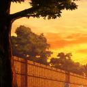 𝑺𝒉𝒂𝒅𝒐𝒘𝓝𝒆𝒙𝒖𝒔 ★ Discord Server Banner