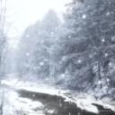 Winterveil Discord Server Banner