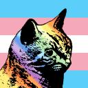 Rainbow Lewis Discord Server Banner