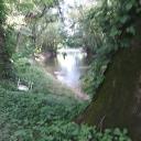 the vibe Discord Server Banner